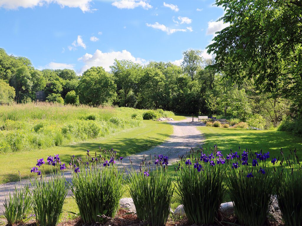 Park with path, flowers and bench